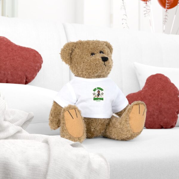 Plush Toy Teddy Bear