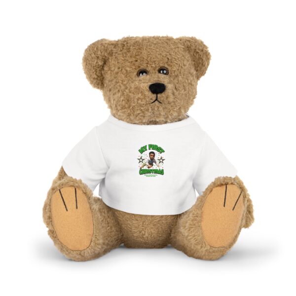 Plush Toy Teddy Bear